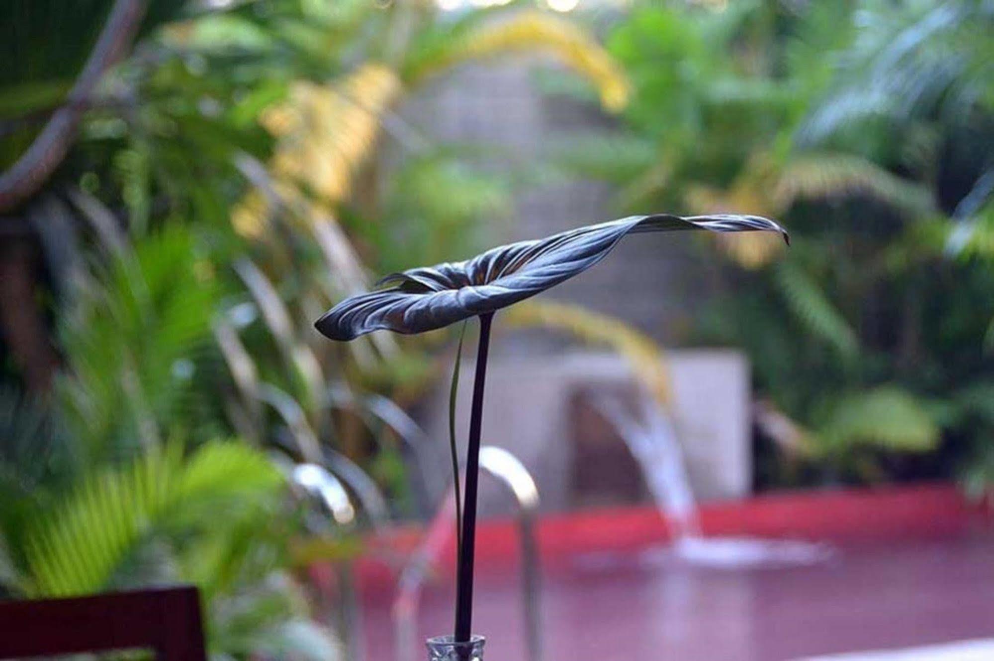 Tranquil Villa Phnom Penh Eksteriør billede